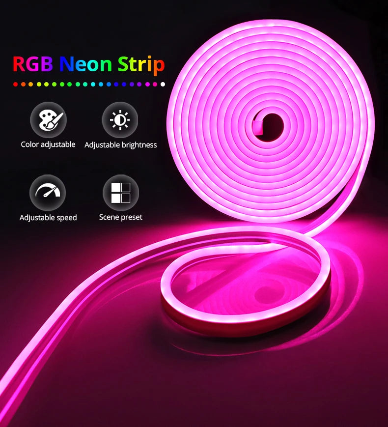 Bluetooth WIFI Led strip 5m 3m 2m 1m RGB Neon Light work for Tuya Smart Life  220V 110V to 12V fita led lamp home decoration
