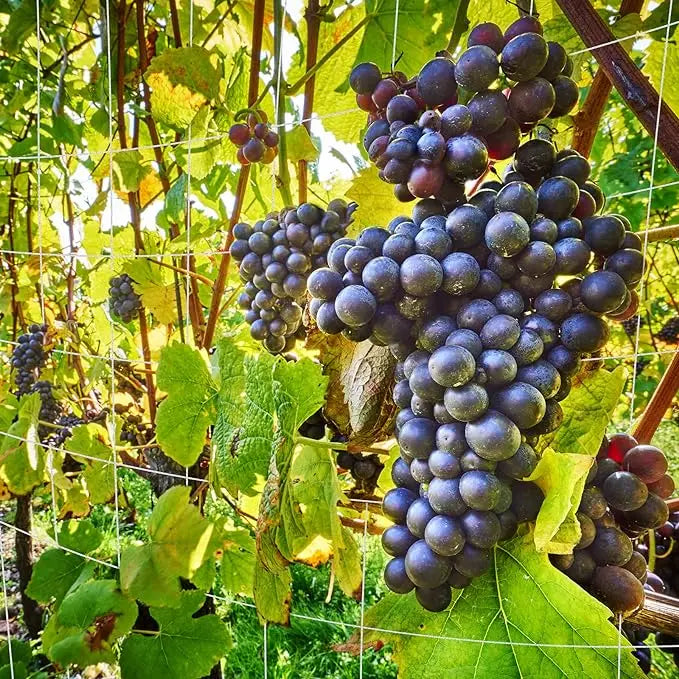 Garden Trellis Netting White Abrasion Heavy Duty Polyester Climbing Net for Plants Tomato Outdoor Gardening Accessories