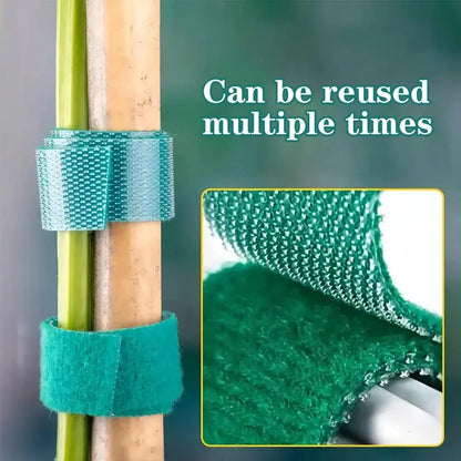 100/2M Plant Nylon Cable Tie Green Garden Twine Self Adhesive Adjustable Plants Bandage Hook Loop Support Reusable Fastener Tape