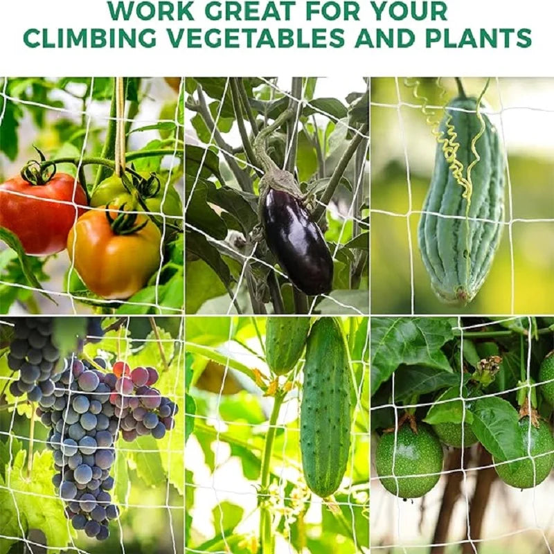 Garden Trellis Netting White Abrasion Heavy Duty Polyester Climbing Net for Plants Tomato Outdoor Gardening Accessories