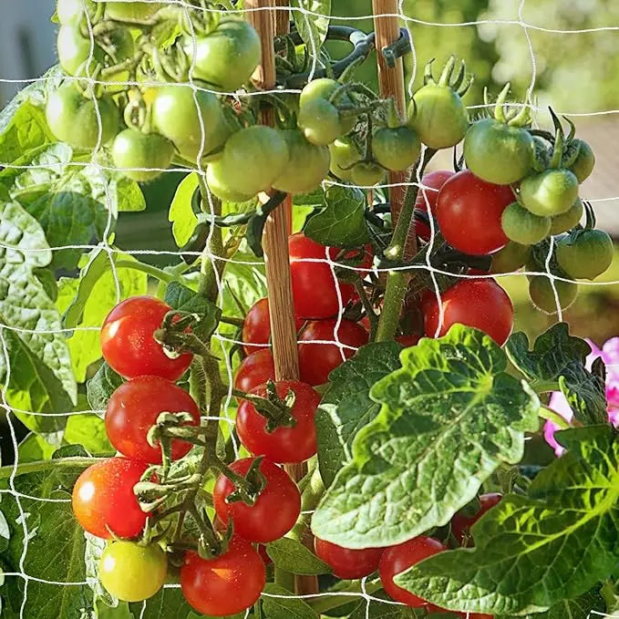 Garden Trellis Netting White Abrasion Heavy Duty Polyester Climbing Net for Plants Tomato Outdoor Gardening Accessories