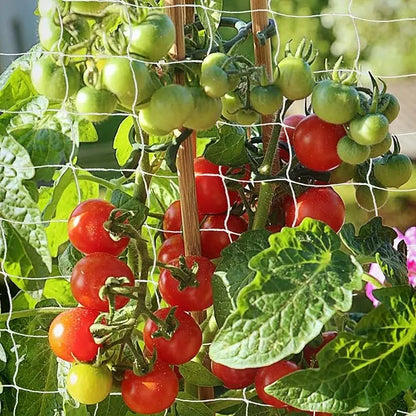 Garden Trellis Netting White Abrasion Heavy Duty Polyester Climbing Net for Plants Tomato Outdoor Gardening Accessories