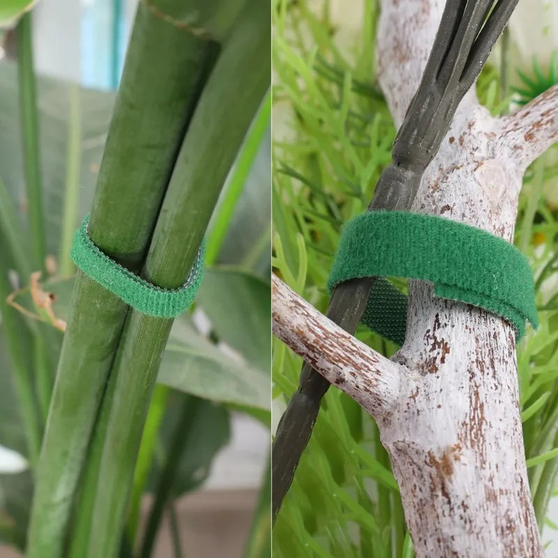 100/2M Plant Nylon Cable Tie Green Garden Twine Self Adhesive Adjustable Plants Bandage Hook Loop Support Reusable Fastener Tape
